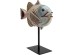 Διακοσμητικό Επιτραπέζιο Fishy Κεραμικό Πολύχρωμο 20*7*22εκ. - Μπλε Διακοσμητικό Επιτραπέζιο Fishy Κεραμικό Πολύχρωμο 20*7*22εκ. - Μπλε