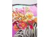 Μαξιλάρι Fantasy Zebra Πολύχρωμο 45*20*45εκ. - Πολύχρωμο