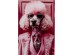 Πίνακας Γυάλινος Pink Poodle Ροζ 40x0.4x50εκ. - Ροζ Πίνακας Γυάλινος Pink Poodle Ροζ 40x0.4x50εκ. - Ροζ