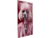 Πίνακας Γυάλινος Pink Poodle Ροζ 40x0.4x50εκ. - Ροζ Πίνακας Γυάλινος Pink Poodle Ροζ 40x0.4x50εκ. - Ροζ