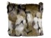 Cushion Shaky Colore 45x45cm - Πολύχρωμο