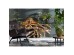 Επιτραπέζιο φωτιστικό Mushroom Brass 50x50x44εκ - Χρυσό