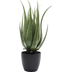 Τεχνητό Φυτό Aloe Πράσινο 20x20x69 εκ. - Πράσινο