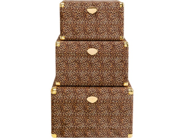 Μπαούλα Wild Animal Leo (3/Set)Καφέ 55*36*36εκ. - Καφέ Μπαούλα Wild Animal Leo (3/Set)Καφέ 55*36*36εκ. - Καφέ
