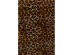Μπαούλα Wild Animal Leo (3/Set)Καφέ 55*36*36εκ. - Καφέ Μπαούλα Wild Animal Leo (3/Set)Καφέ 55*36*36εκ. - Καφέ