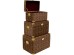 Μπαούλα Wild Animal Leo (3/Set)Καφέ 55*36*36εκ. - Καφέ Μπαούλα Wild Animal Leo (3/Set)Καφέ 55*36*36εκ. - Καφέ