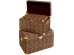 Μπαούλα Wild Animal Leo (3/Set)Καφέ 55*36*36εκ. - Καφέ Μπαούλα Wild Animal Leo (3/Set)Καφέ 55*36*36εκ. - Καφέ