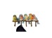 Κρεμάστρα Τοίχου Birds Tweed Κεραμική Πολύχρωμη 35.5*4.2*17.5εκ. - Πολύχρωμο Κρεμάστρα Τοίχου Birds Tweed Κεραμική Πολύχρωμη 35.5*4.2*17.5εκ. - Πολύχρωμο