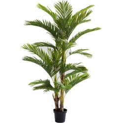 Φυτό Palm Tree Πράσινο 190 εκ. - Πράσινο