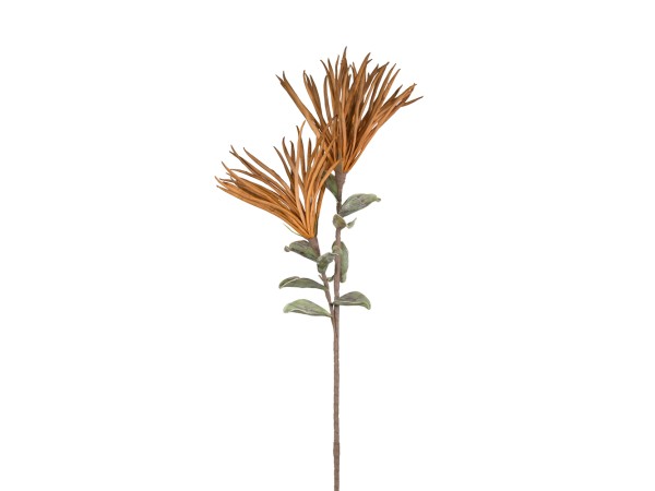 TERACCOTA 1 ΛΟΥΛΟΥΔΙ ΤΕΧΝΗΤΟ 100cm EVA FOAM TERRACOTTA TERACCOTA 1 ΛΟΥΛΟΥΔΙ ΤΕΧΝΗΤΟ 100cm EVA FOAM TERRACOTTA
