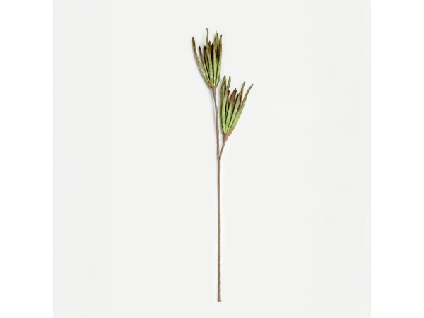 JUNGLE 2 ΛΟΥΛΟΥΔΙ ΤΕΧΝΗΤΟ 104cm EVA FOAM ΠΡΑΣΙΝΟ ΚΑΦΕ JUNGLE 2 ΛΟΥΛΟΥΔΙ ΤΕΧΝΗΤΟ 104cm EVA FOAM ΠΡΑΣΙΝΟ ΚΑΦΕ