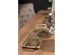 ADORO ΔΙΣΚΟΣ ΔΙΑΚΟΣΜΗΣΗΣ 53x15x4cm ΑΛΟΥΜΙΝΙΟ ΑΣΗΜΙ ADORO ΔΙΣΚΟΣ ΔΙΑΚΟΣΜΗΣΗΣ 53x15x4cm ΑΛΟΥΜΙΝΙΟ ΑΣΗΜΙ