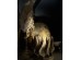 VOLE ΔΙΑΚΟΣΜΗΤΙΚΟ ΦΤΕΡΟ 15x11x46cm POLYRESIN ΧΡΥΣΟ ΑΝΤΙΚΕ