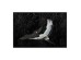 CRANE ΠΙΝΑΚΑΣ ΔΙΑΚΟΣΜΗΣΗΣ 123x83x5cm ΚΑΜΒΑΣ ΜΑΥΡΟ ΓΚΡΙ ΞΥΛΟ ΛΕΥΚΟ CRANE ΠΙΝΑΚΑΣ ΔΙΑΚΟΣΜΗΣΗΣ 123x83x5cm ΚΑΜΒΑΣ ΜΑΥΡΟ ΓΚΡΙ ΞΥΛΟ ΛΕΥΚΟ