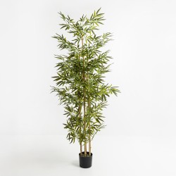 BAMBOO ΔΕΝΤΡΟ ΤΕΧΝΗΤΟ ΣΕ ΓΛΑΣΤΡΑ 190cm POLYESTER ΠΡΑΣΙΝΟ PVC