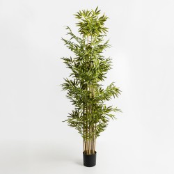 BAMBOO ΔΕΝΤΡΟ ΤΕΧΝΗΤΟ ΣΕ ΓΛΑΣΤΡΑ 210cm POLYESTER ΠΡΑΣΙΝΟ PVC