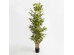 BAMBOO ΔΕΝΤΡΟ ΤΕΧΝΗΤΟ ΣΕ ΓΛΑΣΤΡΑ 210cm POLYESTER ΠΡΑΣΙΝΟ PVC BAMBOO ΔΕΝΤΡΟ ΤΕΧΝΗΤΟ ΣΕ ΓΛΑΣΤΡΑ 210cm POLYESTER ΠΡΑΣΙΝΟ PVC