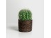 FEROCACTUS ΦΥΤΟ ΤΕΧΝΗΤΟ ΣΕ ΓΛΑΣΤΡΑ 18x18x30cm ΥΦΑΣΜΑ ΠΡΑΣΙΝΟ ΛΕΥΚΟ ΠΛΑΣΤΙΚΟ