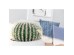 FEROCACTUS ΦΥΤΟ ΤΕΧΝΗΤΟ ΣΕ ΓΛΑΣΤΡΑ 25x25x33cm ΥΦΑΣΜΑ ΠΡΑΣΙΝΟ ΛΕΥΚΟ ΠΛΑΣΤΙΚΟ