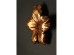 IBISCUS ΔΙΑΚΟΣΜΗΤΙΚΟ ΤΟΙΧΟΥ 27x6x26cm POLYRESIN ΧΡΥΣΟ IBISCUS ΔΙΑΚΟΣΜΗΤΙΚΟ ΤΟΙΧΟΥ 27x6x26cm POLYRESIN ΧΡΥΣΟ