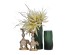 ELEPHAS 1 ΚΗΡΟΠΗΓΙΟ 15x9x28cm POLYRESIN ΧΡΥΣΟ ΛΕΥΚΟ