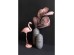 ROSEUS ΔΙΑΚΟΣΜΗΤΙΚΟ ΦΛΑΜΙΝΓΚΟ 24x12x46cm POLYRESIN ΡΟΖ ROSEUS ΔΙΑΚΟΣΜΗΤΙΚΟ ΦΛΑΜΙΝΓΚΟ 24x12x46cm POLYRESIN ΡΟΖ
