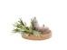 ULMUS ΔΙΑΚΟΣΜΗΤΙΚΟ ΑΧΛΑΔΙ 17x16x23cm POLYRESIN ΦΥΣΙΚΟ ΛΕΥΚΟ ULMUS ΔΙΑΚΟΣΜΗΤΙΚΟ ΑΧΛΑΔΙ 17x16x23cm POLYRESIN ΦΥΣΙΚΟ ΛΕΥΚΟ