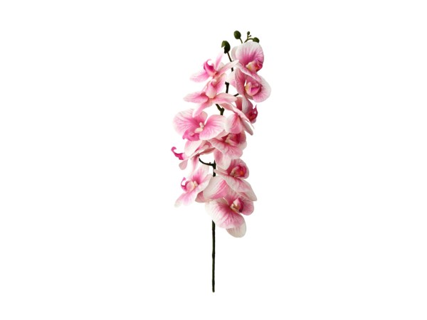 ORCHIDEE ΛΟΥΛΟΥΔΙ ΤΕΧΝΗΤΟ 91x16x10cm PEVA ΡΟΖ ΛΕΥΚΟ