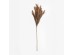 FEDER ΚΛΑΔΙ ΤΕΧΝΗΤΟ 110cm POLYESTER ΚΑΦΕ FEDER ΚΛΑΔΙ ΤΕΧΝΗΤΟ 110cm POLYESTER ΚΑΦΕ