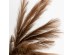 FEDER ΚΛΑΔΙ ΤΕΧΝΗΤΟ 110cm POLYESTER ΚΑΦΕ FEDER ΚΛΑΔΙ ΤΕΧΝΗΤΟ 110cm POLYESTER ΚΑΦΕ