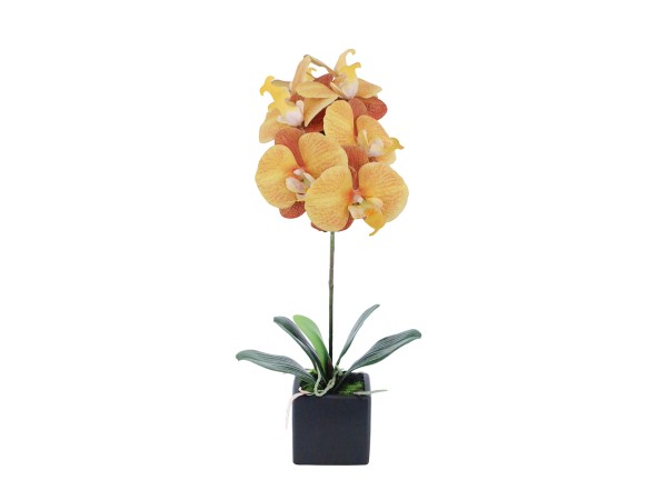 ORCHIDEA ΛΟΥΛΟΥΔΙ ΤΕΧΝΗΤΟ ΣΕ ΓΛΑΣΤΡΑ 63cm PEVA ΚΙΤΡΙΝΟ ΠΟΡΤΟΚΑΛΙ ΚΕΡΑΜΙΚΟ