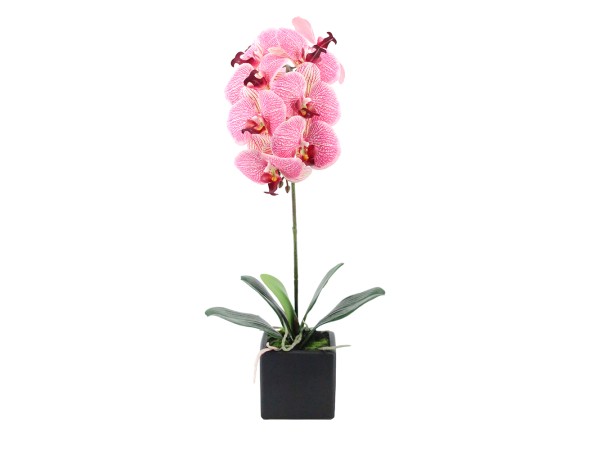 ORCHIDEA ΛΟΥΛΟΥΔΙ ΤΕΧΝΗΤΟ ΣΕ ΓΛΑΣΤΡΑ 63cm PEVA ΡΟΖ ΚΙΤΡΙΝΟ ΚΕΡΑΜΙΚΟ