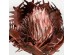 MAUDO 1 ΛΟΥΛΟΥΔΙ ΤΕΧΝΗΤΟ 98cm EVA FOAM TERRACOTTA