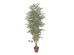 FICUS ΔΕΝΤΡΟ ΤΕΧΝΗΤΟ ΣΕ ΓΛΑΣΤΡΑ 170cm POLYESTER ΠΡΑΣΙΝΟ PE/PP FICUS ΔΕΝΤΡΟ ΤΕΧΝΗΤΟ ΣΕ ΓΛΑΣΤΡΑ 170cm POLYESTER ΠΡΑΣΙΝΟ PE/PP