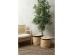 FICUS ΔΕΝΤΡΟ ΤΕΧΝΗΤΟ ΣΕ ΓΛΑΣΤΡΑ 170cm POLYESTER ΠΡΑΣΙΝΟ PE/PP FICUS ΔΕΝΤΡΟ ΤΕΧΝΗΤΟ ΣΕ ΓΛΑΣΤΡΑ 170cm POLYESTER ΠΡΑΣΙΝΟ PE/PP