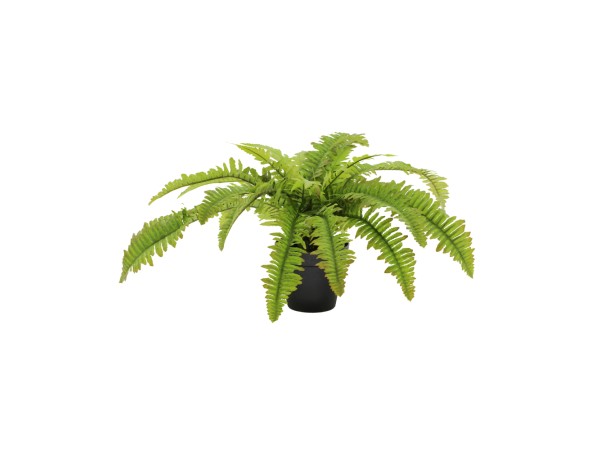 BOSTON FERN ΦΥΤΟ ΤΕΧΝΗΤΟ ΣΕ ΓΛΑΣΤΡΑ 36cm POLYESTER ΠΡΑΣΙΝΟ PE/PP BOSTON FERN ΦΥΤΟ ΤΕΧΝΗΤΟ ΣΕ ΓΛΑΣΤΡΑ 36cm POLYESTER ΠΡΑΣΙΝΟ PE/PP