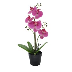 ORCHID 2 ΦΥΤΟ ΤΕΧΝΗΤΟ ΣΕ ΓΛΑΣΤΡΑ 35cm PE/PP ΜΩΒ ΠΡΑΣΙΝΟ PEVA