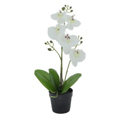 ORCHID 3 ΦΥΤΟ ΤΕΧΝΗΤΟ ΣΕ ΓΛΑΣΤΡΑ 35cm PE/PP ΛΕΥΚΟ ΠΡΑΣΙΝΟ PEVA