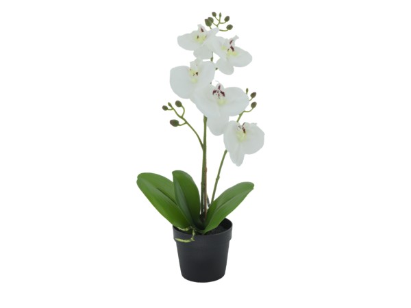 ORCHID 3 ΦΥΤΟ ΤΕΧΝΗΤΟ ΣΕ ΓΛΑΣΤΡΑ 35cm PE/PP ΛΕΥΚΟ ΠΡΑΣΙΝΟ PEVA ORCHID 3 ΦΥΤΟ ΤΕΧΝΗΤΟ ΣΕ ΓΛΑΣΤΡΑ 35cm PE/PP ΛΕΥΚΟ ΠΡΑΣΙΝΟ PEVA