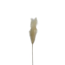 FEDER SINGLE ΚΛΑΔΙ ΤΕΧΝΗΤΟ ΜΕ ΦΤΕΡΑ 110cm POLYESTER ΛΕΥΚΟ
