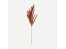FEDER SINGLE ΚΛΑΔΙ ΤΕΧΝΗΤΟ ΜΕ ΦΤΕΡΑ 110cm POLYESTER CARAMEL FEDER SINGLE ΚΛΑΔΙ ΤΕΧΝΗΤΟ ΜΕ ΦΤΕΡΑ 110cm POLYESTER CARAMEL