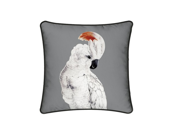 COCKATOO ΔΙΑΚΟΣΜΗΤΙΚΟ ΜΑΞΙΛΑΡΙ 45x45cm ΒΕΛΟΥΔΟ ΓΚΡΙ ΛΕΥΚΟ ΜΑΥΡΟ COCKATOO ΔΙΑΚΟΣΜΗΤΙΚΟ ΜΑΞΙΛΑΡΙ 45x45cm ΒΕΛΟΥΔΟ ΓΚΡΙ ΛΕΥΚΟ ΜΑΥΡΟ