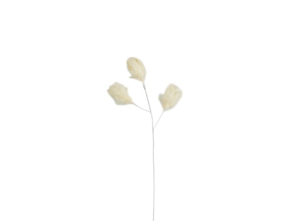 LAUREL PEARL ΚΛΑΔΙ ΤΕΧΝΗΤΟ ΜΕ ΦΤΕΡΑ 54cm ΦΤΕΡΟ ΚΡΕΜ LAUREL PEARL ΚΛΑΔΙ ΤΕΧΝΗΤΟ ΜΕ ΦΤΕΡΑ 54cm ΦΤΕΡΟ ΚΡΕΜ