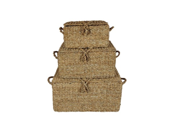 ALMAR ΚΟΥΤΙ ΑΠΟΘΗΚΕΥΣΗΣ SET 3ΤΜΧ 50x34x25cm SEAGRASS ΦΥΣΙΚΟ ΣΙΔΕΡΟ ALMAR ΚΟΥΤΙ ΑΠΟΘΗΚΕΥΣΗΣ SET 3ΤΜΧ 50x34x25cm SEAGRASS ΦΥΣΙΚΟ ΣΙΔΕΡΟ