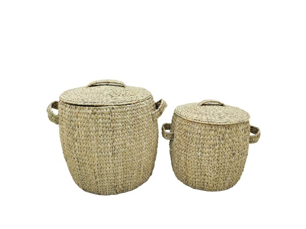 MALIA ΚΑΛΑΘΙ ΜΕ ΚΑΠΑΚΙ SET 2ΤΜΧ 45x45x50cm ΥΑΚΙΝΘΟΣ ΦΥΣΙΚΟ ΣΙΔΕΡΟ MALIA ΚΑΛΑΘΙ ΜΕ ΚΑΠΑΚΙ SET 2ΤΜΧ 45x45x50cm ΥΑΚΙΝΘΟΣ ΦΥΣΙΚΟ ΣΙΔΕΡΟ