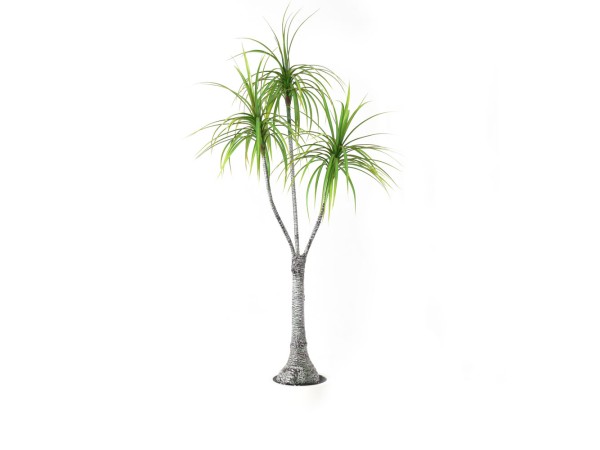 HEMLOCK ΔΕΝΤΡΟ ΤΕΧΝΗΤΟ ΣΕ ΓΛΑΣΤΡΑ 160cm PE ΠΡΑΣΙΝΟ HEMLOCK ΔΕΝΤΡΟ ΤΕΧΝΗΤΟ ΣΕ ΓΛΑΣΤΡΑ 160cm PE ΠΡΑΣΙΝΟ