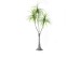 HEMLOCK ΔΕΝΤΡΟ ΤΕΧΝΗΤΟ ΣΕ ΓΛΑΣΤΡΑ 160cm PE ΠΡΑΣΙΝΟ HEMLOCK ΔΕΝΤΡΟ ΤΕΧΝΗΤΟ ΣΕ ΓΛΑΣΤΡΑ 160cm PE ΠΡΑΣΙΝΟ