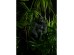 HEMLOCK ΔΕΝΤΡΟ ΤΕΧΝΗΤΟ ΣΕ ΓΛΑΣΤΡΑ 160cm PE ΠΡΑΣΙΝΟ HEMLOCK ΔΕΝΤΡΟ ΤΕΧΝΗΤΟ ΣΕ ΓΛΑΣΤΡΑ 160cm PE ΠΡΑΣΙΝΟ