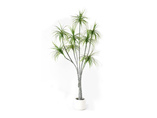 HEMLOCK ΔΕΝΤΡΟ ΤΕΧΝΗΤΟ ΣΕ ΓΛΑΣΤΡΑ 230cm PE ΠΡΑΣΙΝΟ HEMLOCK ΔΕΝΤΡΟ ΤΕΧΝΗΤΟ ΣΕ ΓΛΑΣΤΡΑ 230cm PE ΠΡΑΣΙΝΟ