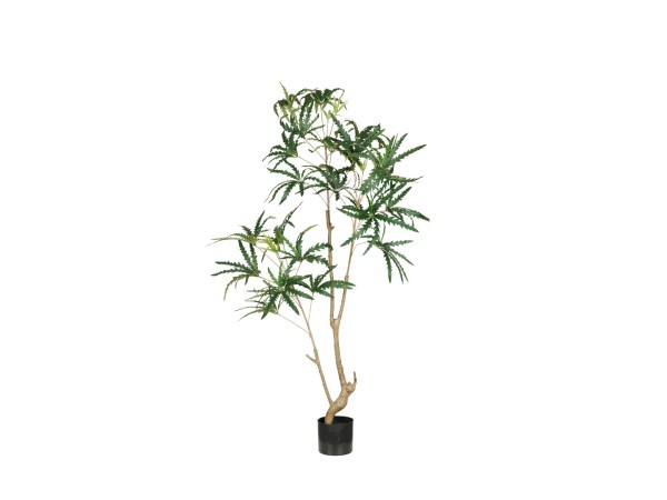 PEACOCK TREE ΔΕΝΤΡΟ ΤΕΧΝΗΤΟ ΣΕ ΓΛΑΣΤΡΑ 150cm PE ΠΡΑΣΙΝΟ ΜΕΤΑΞΩΤΟ ΥΦΑΣΜΑ PEACOCK TREE ΔΕΝΤΡΟ ΤΕΧΝΗΤΟ ΣΕ ΓΛΑΣΤΡΑ 150cm PE ΠΡΑΣΙΝΟ ΜΕΤΑΞΩΤΟ ΥΦΑΣΜΑ
